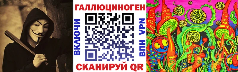 закладка  Котельники  Галлюциногенные грибы Psilocybe 