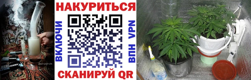 Бошки Шишки THC 21%  Котельники 